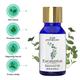 Sage Apothecary Essential Oil - Eucalyptus 10 ml - Essential Oils