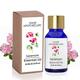 Sage Apothecary Essential Oil - Geranium 10 ml - Essential Oils