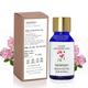 Sage Apothecary Essential Oil - Geranium 10 ml - Essential Oils
