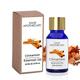 Sage Apothecary Essential Oil - Cinnamon 10 ml - Essential Oils