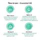 Sage Apothecary Essential Oil - Cinnamon 10 ml - Essential Oils
