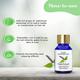 Sage Apothecary Essential Oil - Patchouli 10 ml - Essential Oils