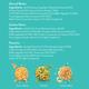 Phab Protein Bomb - Almond Butter (Pack of 12) - Nutritional Bars