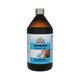 Sandu Kanakasav Syrup 450 ml - Speciality Medicines