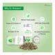 Dr. Morepen Immune Tea Powder 100 gm - Herbal/Green Teas