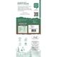Innoveda Minty Boom Green Tea Whole tea leaves 100 gm - Teas