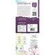 Innoveda Jasmine Green Tea Whole tea leaves 50 gm - Teas