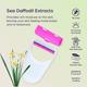 Sanfe Underarm No Mess Razor - Sea Daffodil 5's - Hair Removal Accessories
