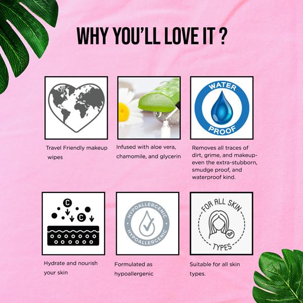 Colorbar On the Go Makeup Remover Wipes 10's - Make Up Removers