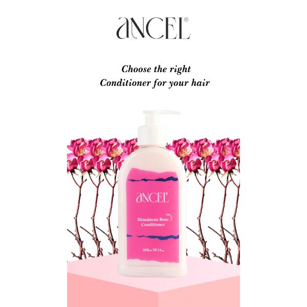 Ancel Himalayan Rose Conditioner 300 ml - Conditioners