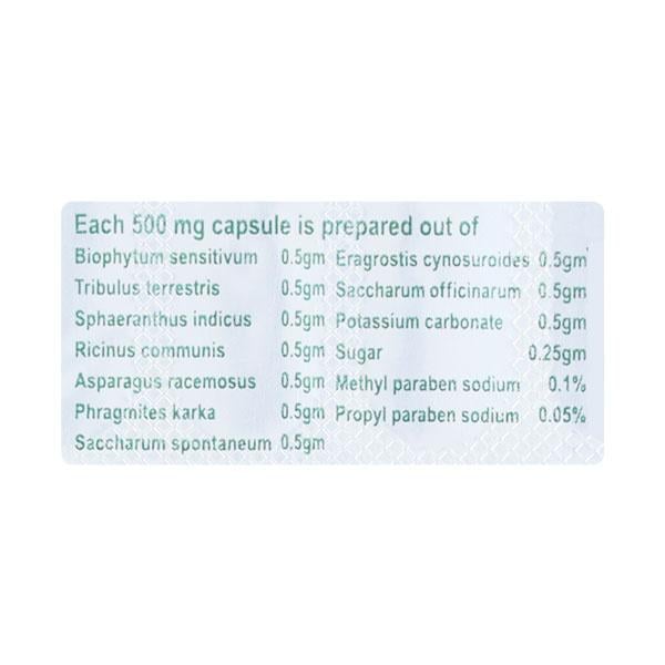 Prostowin Capsule 10'S - Kidney Disease/Stones-Uri