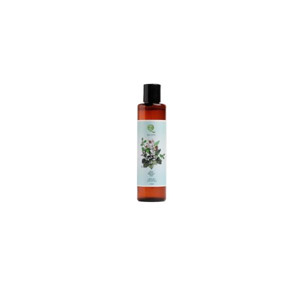 Qaadu Aloe Shower Gel 200 ml - Personal Care (Ayush)
