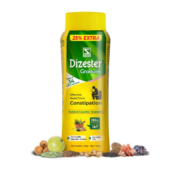 Dr. Willmar Schwabe Dizester Granules (100 g + 25 g) 125 g - Digestive Care