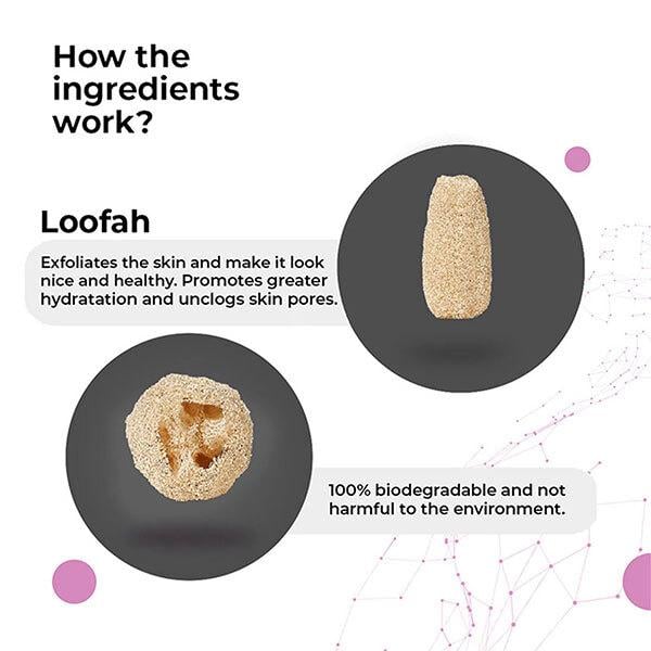 Cosmos by Bewakoof Loofa - Cylindrical Scrubber - Paraben & Sulphate Free 1's - Loofahs & Sponges