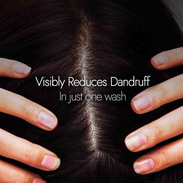 Kapiva Hair Rituals Dandruff Control Neem Triphaladi Shampoo 250 ml - Personal Care (Ayush)