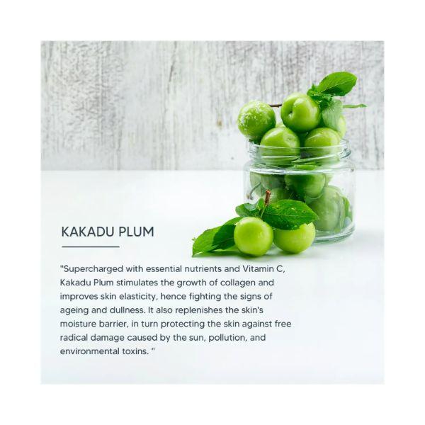 Lotus Professional Promen Turn Around Face Cream 50 gm - Day Cream