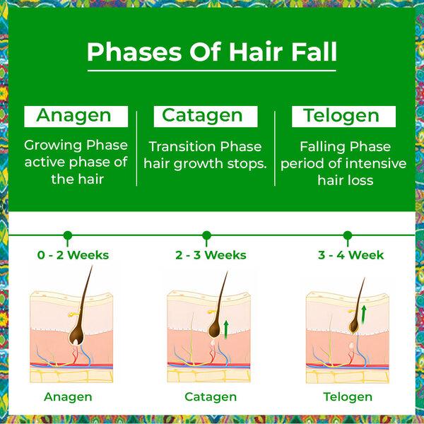 Passion Indulge Rosemary Hair Growth Serum with Redensyl, Water Based Hair Serum for Hair Growth 50 ml - Hair Serums