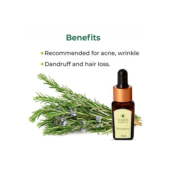 Organic Harvest Essential Oil - Rosemary 10 ml - Essential Oils