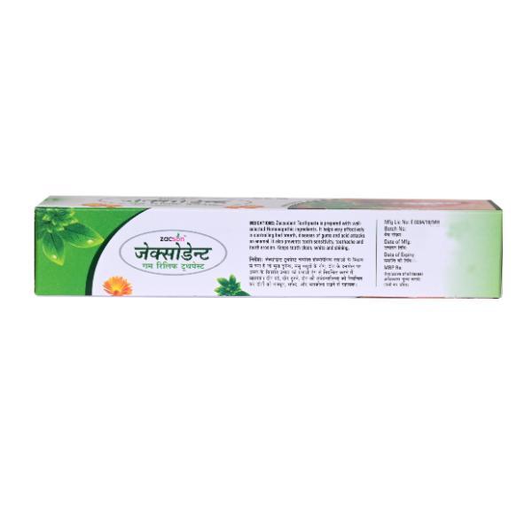 GH Zacson Zacsodent Gum Relief Toothpaste 100 gm - Personal Care(Homeopathy)