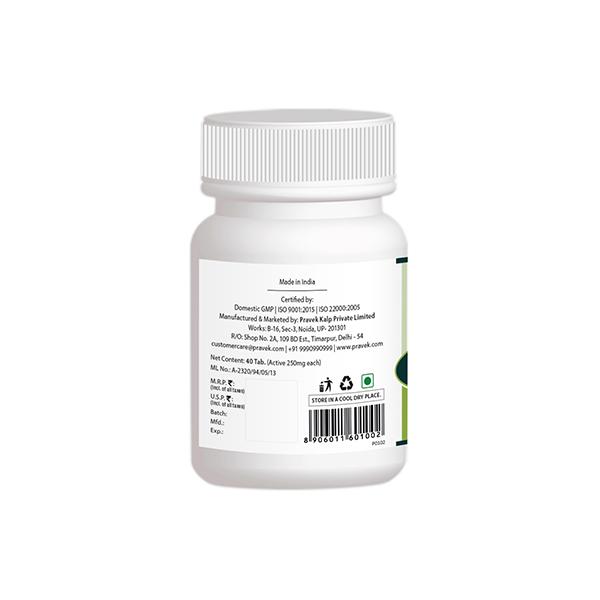 Pravek Gandhak Rasayan Tablet 40's - Speciality Medicines