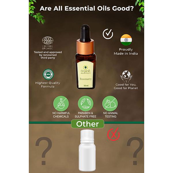 Organic Harvest Essential Oil - Rosemary 10 ml - Essential Oils