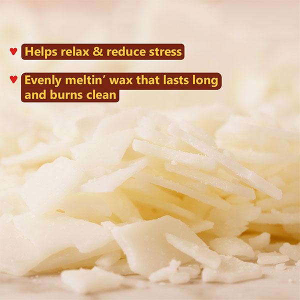 Plum BodyLovin' Caramel Popcorn Scented Candle 60 gm - Others