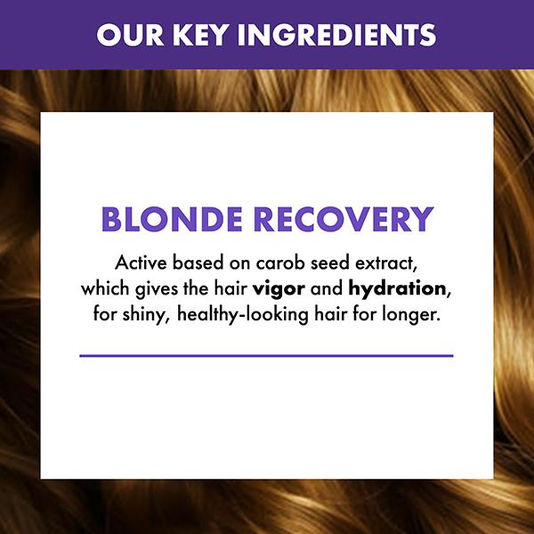 Alfaparf Milano Blonde Hair Anti-Yellow Conditioner 200 ml - Conditioners