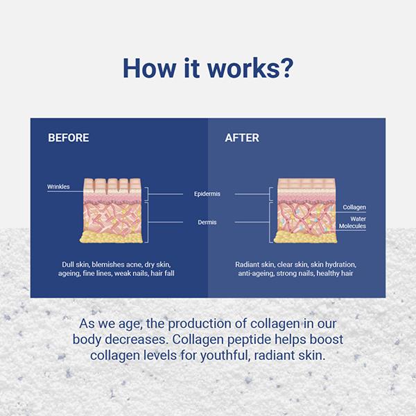 Nudge Wellness Collagen Peptide Hydrolyzed Collagen Peptide Powder Sourced From France Blueberry Flavour 210 gm - Hair & Skin