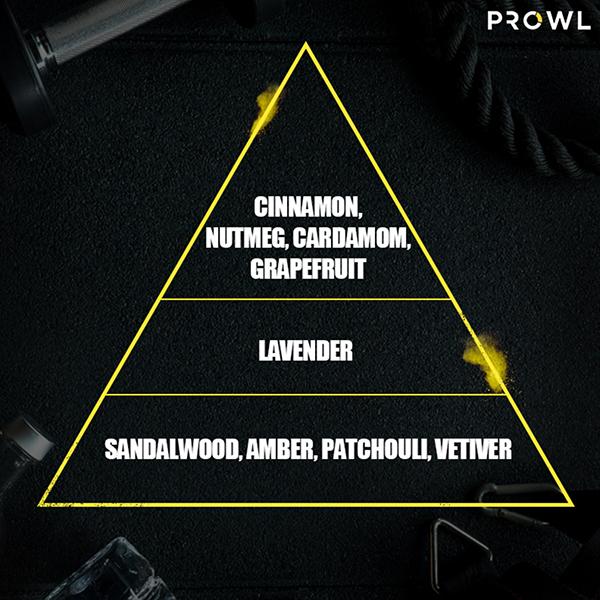 Prowl By Tiger Shroff, Deodorant Perfume Body Spray - Core 200 ml - Men Deodorants/Roll-Ons