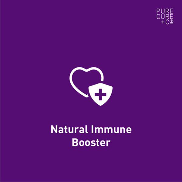 Pure Cure + Co. Immunity - Protect + Heal 1's - Others
