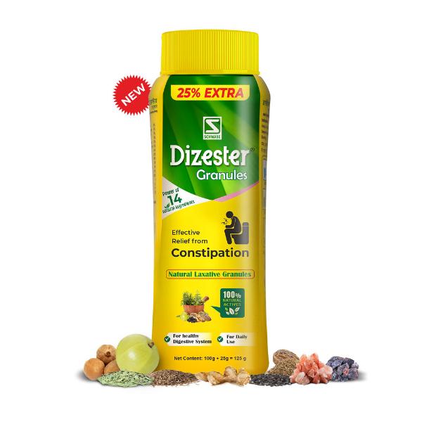Netmeds | Dr. Willmar Schwabe Dizester Granules (100 g + 25 g) 125 g