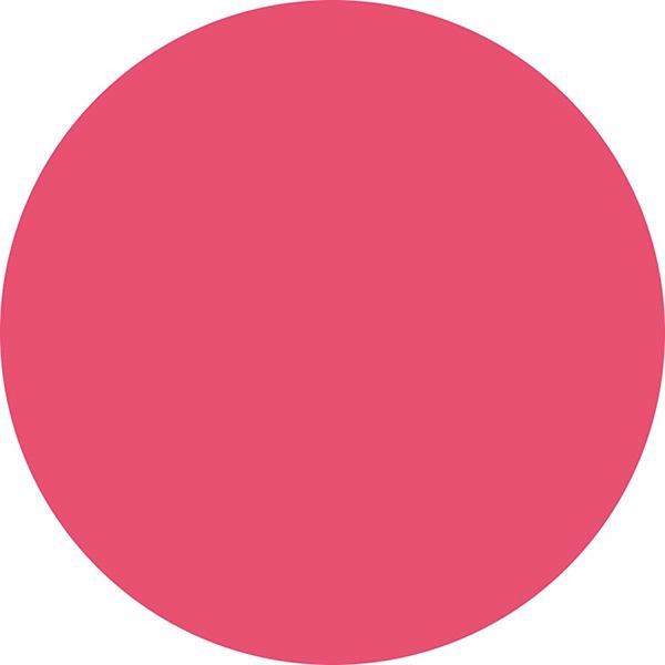 Matt Look Lip Makeup Girls Essential Colour Lip Balm Moisturizing Lip, Peach Blossom 3.5 gm - Lip Balms