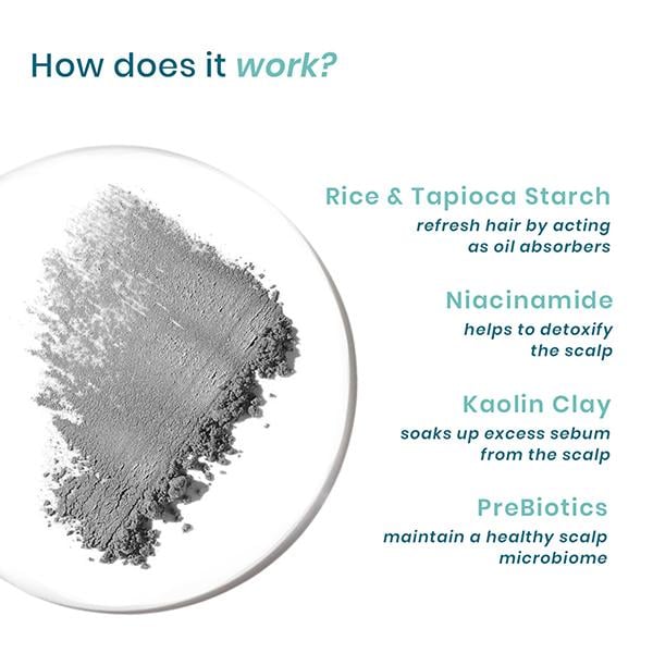 Wishcare Air Powder Dry Shampoo for Oily Hair & Scalp - No White Cast & Aerosol - Volume Boost 10 gm - Dry Shampoos & Conditioners