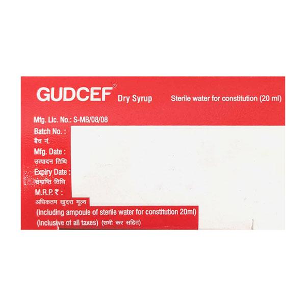 GUDCEF PINEAPPLE FLAVOUR Dry Syrup 30ml - Bacterial Infections-Cep
