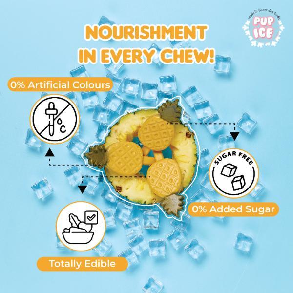 Pup Ice Fruity Lollies Pineapple 90 g - Petfood