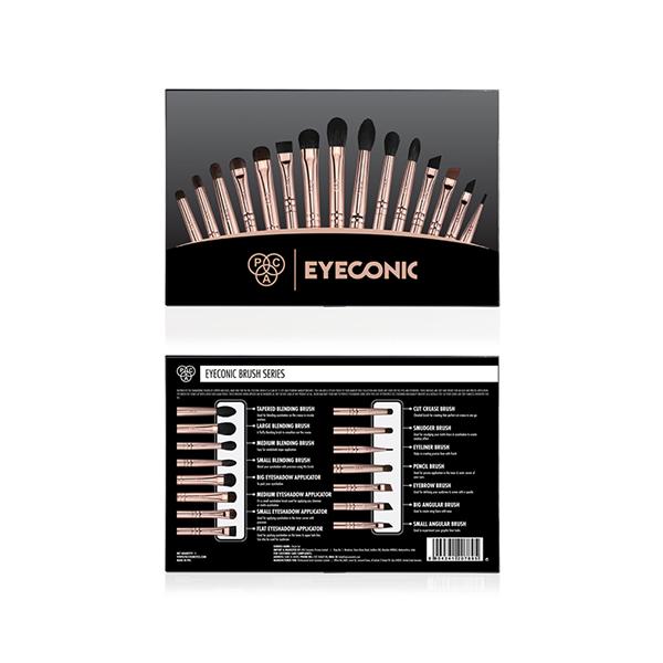 Pac Eyeconic Brush Kit 15's - Face Brush