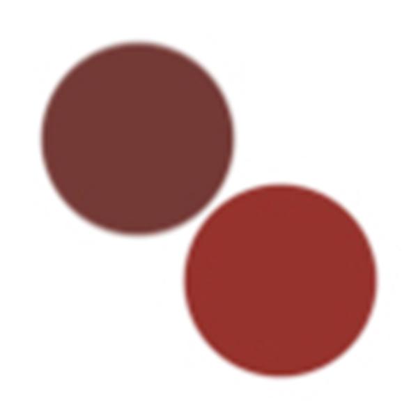 FAE Beauty Modern Matte Lipsticks and Gloss Bundle - Sizzling and Awkward (3.5gm and 3.5gm) 1's - Facial Kits