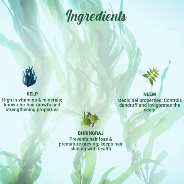 Biotique Anti Hair Fall Shampoo - Ocean Kelp 120 ml - Shampoos