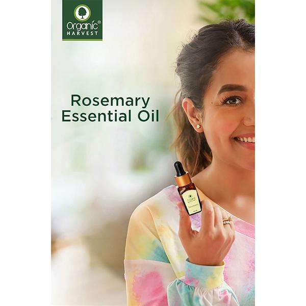 Organic Harvest Essential Oil - Rosemary 10 ml - Essential Oils