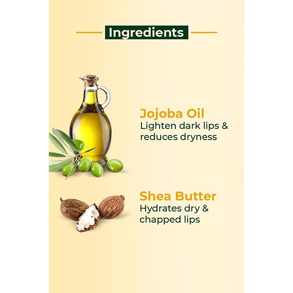 Organic Harvest Shea Butter Lip Balm 8 gm - Lip Balms