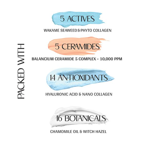 Mintree Certified Organic Fanatasea Body Lotion, Nourishes and Moisturizes, 48Hrs Hydration 200 ml - Creams, Lotions & Oils