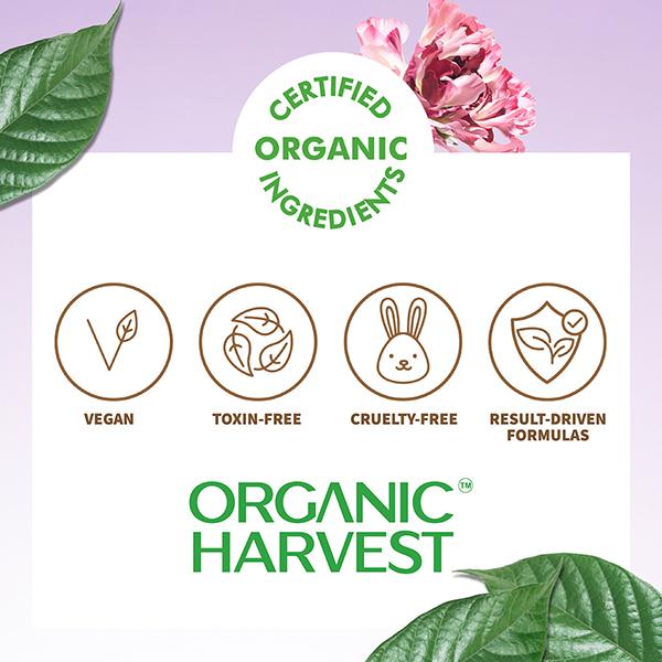Organic Harvest Midnight Matte Liquid Eyeliner,Waterproof and Smudge-Proof, Certified Organic 4.5 ml - Eyeliners