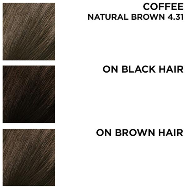 BBlunt Salon Secret High Shine Creme Hair Colour 4.31 Coffee Natural Brown (50gm +50ml + 8ml) 1's - Crème