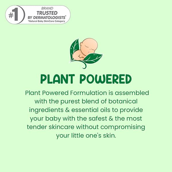 Mother Sparsh Plant Powered Natural Baby Face Cream 50 gm - Creams, Lotions & Oils