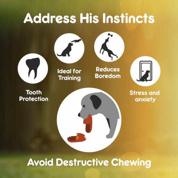 Purepet Pressed Chew Bones, Dog Treats, 4 inches - Pack of 4 Bones 160 gm - Petfood