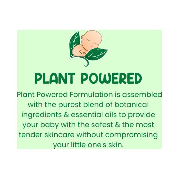 Mother Sparsh Natural Baby Liquid Cleanser Cleanser For Baby Bottles, Nipples, Refill Pack 1000 ml - Baby Detergents