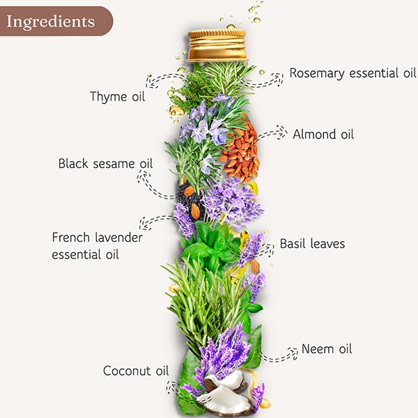 Dromen & Co Rosemary & Lavender Brew Oil Hair Growth Reduces frizz & breakage 250 ml - Hair Oils