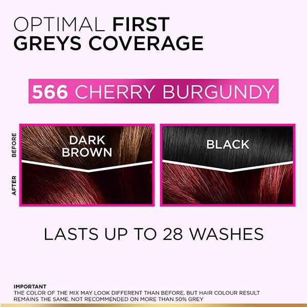 L'Oreal Paris Casting Creme Gloss Ultra Visible Hair Color with No Ammonia, Cherry Burgundy 566 1's - Crème