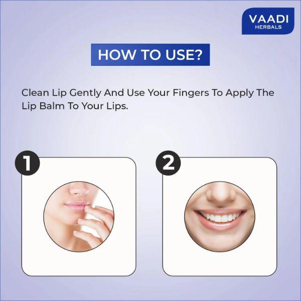 Vaadi Herbals Lip Balm - Blueberry 10 gm - Lip Balms
