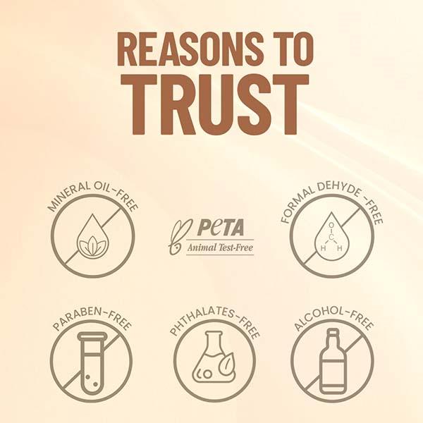 Swiss Beauty Everyday Matte Compact with SPF 10-Ivory 9 gm - Compact Powder